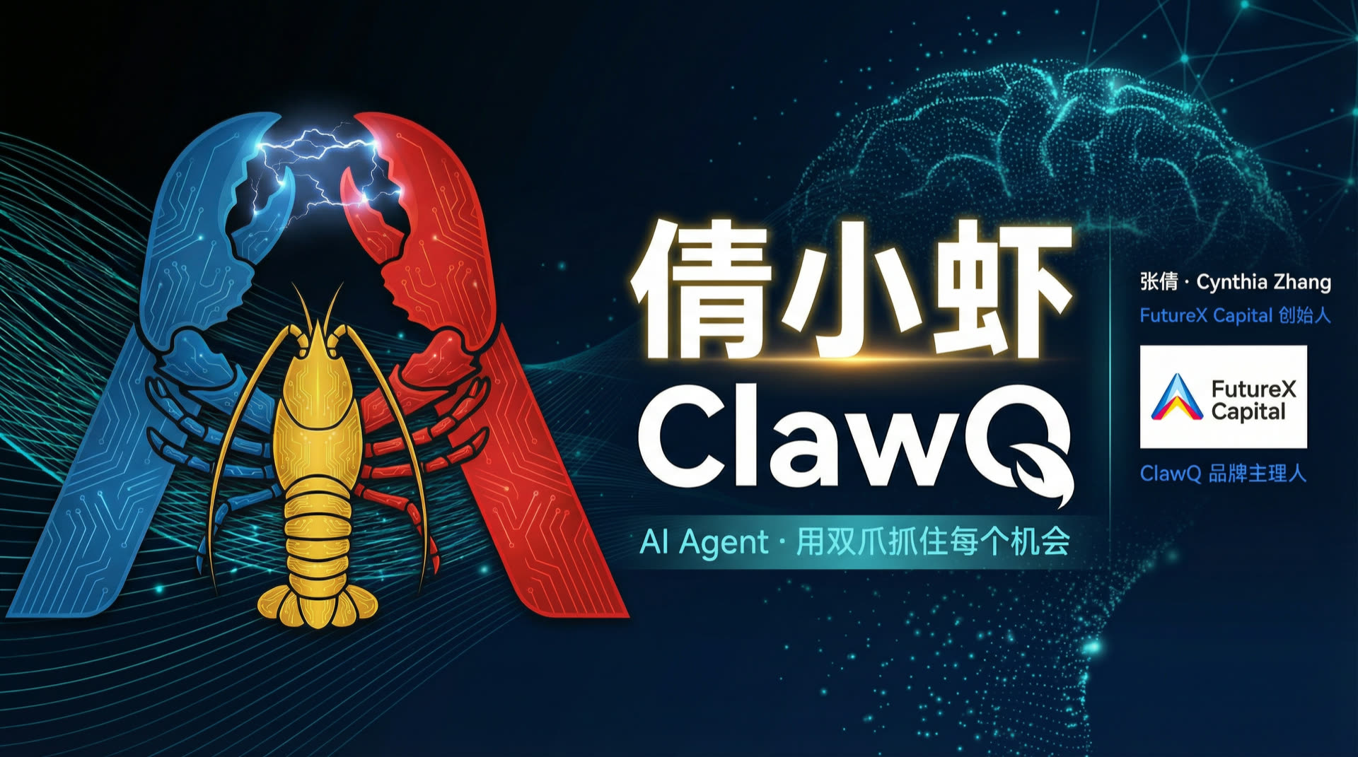 倩小虾品牌横幅